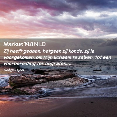 Picture 02 - Markus 14:8 NLD - Zij heeft gedaan, hetgeen zij konde; zij is - Bible Verse Picture