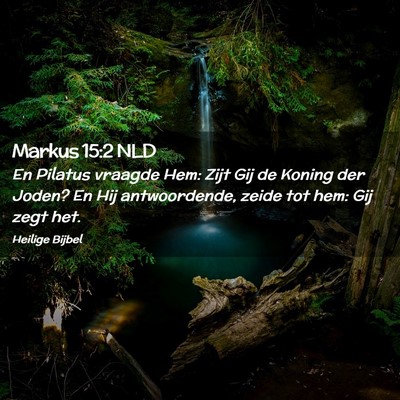 Picture 02 - Markus 15:2 NLD - En Pilatus vraagde Hem: Zijt Gij de Koning der - Bible Verse Picture