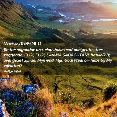 Picture 02 - Markus 15:34 NLD - En ter negender ure, riep Jezus met een grote - Bible Verse Picture