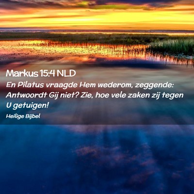 Picture 02 - Markus 15:4 NLD - En Pilatus vraagde Hem wederom, zeggende: - Bible Verse Picture
