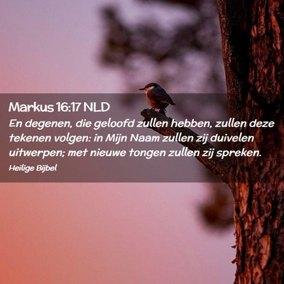 Picture 02 - Markus 16:17 NLD - En degenen, die geloofd zullen hebben, zullen - Bible Verse Picture