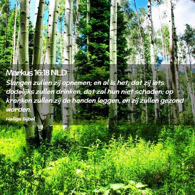 Picture 02 - Markus 16:18 NLD - Slangen zullen zij opnemen; en al is het, dat zij - Bible Verse Picture