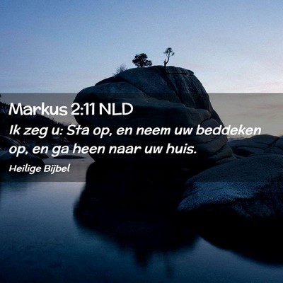Picture 02 - Markus 2:11 NLD - Ik zeg u: Sta op, en neem uw beddeken op, en ga - Bible Verse Picture