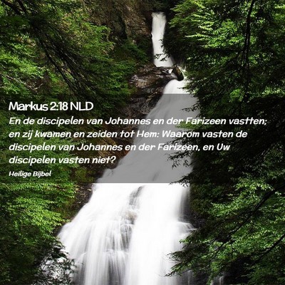 Picture 02 - Markus 2:18 NLD - En de discipelen van Johannes en der Farizeen - Bible Verse Picture