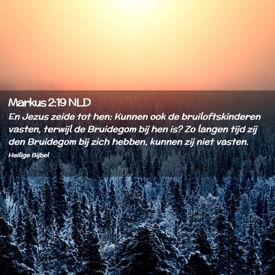 Picture 02 - Markus 2:19 NLD - En Jezus zeide tot hen: Kunnen ook de - Bible Verse Picture