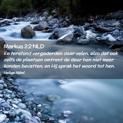 Picture 02 - Markus 2:2 NLD - En terstond vergaderden daar velen, alzo dat ook - Bible Verse Picture
