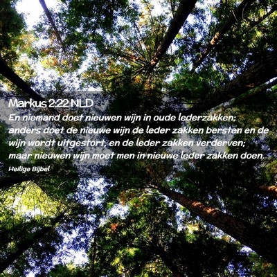 Picture 02 - Markus 2:22 NLD - En niemand doet nieuwen wijn in oude lederzakken; - Bible Verse Picture