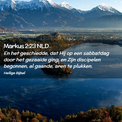 Picture 02 - Markus 2:23 NLD - En het geschiedde, dat Hij op een sabbatdag door - Bible Verse Picture