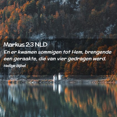 Picture 02 - Markus 2:3 NLD - En er kwamen sommigen tot Hem, brengende een - Bible Verse Picture