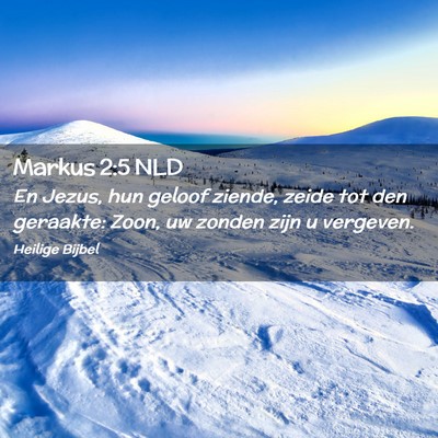 Picture 02 - Markus 2:5 NLD - En Jezus, hun geloof ziende, zeide tot den - Bible Verse Picture