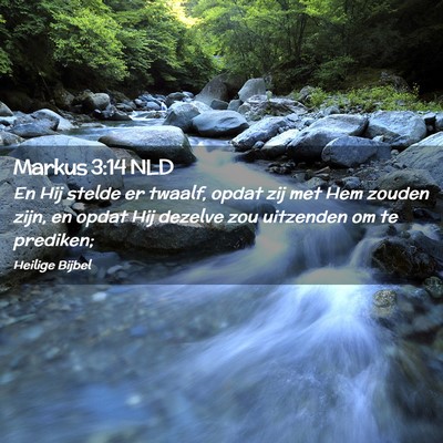 Picture 02 - Markus 3:14 NLD - En Hij stelde er twaalf, opdat zij met Hem zouden - Bible Verse Picture