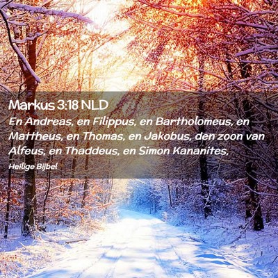 Picture 02 - Markus 3:18 NLD - En Andreas, en Filippus, en Bartholomeus, en - Bible Verse Picture