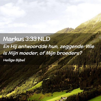 Picture 02 - Markus 3:33 NLD - En Hij antwoordde hun, zeggende: Wie is Mijn - Bible Verse Picture