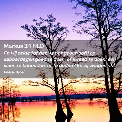 Picture 02 - Markus 3:4 NLD - En Hij zeide tot hen: Is het geoorloofd op - Bible Verse Picture