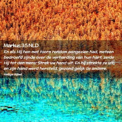 Picture 02 - Markus 3:5 NLD - En als Hij hen met toorn rondom aangezien had, - Bible Verse Picture