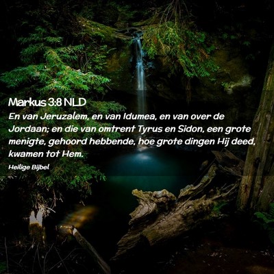 Picture 02 - Markus 3:8 NLD - En van Jeruzalem, en van Idumea, en van over de - Bible Verse Picture