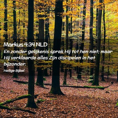 Picture 02 - Markus 4:34 NLD - En zonder gelijkenis sprak Hij tot hen niet; maar - Bible Verse Picture