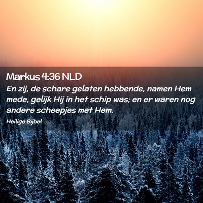 Picture 02 - Markus 4:36 NLD - En zij, de schare gelaten hebbende, namen Hem - Bible Verse Picture