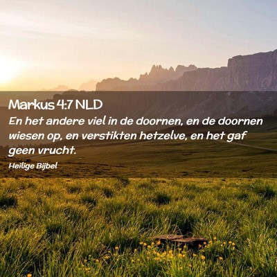 Picture 02 - Markus 4:7 NLD - En het andere viel in de doornen, en de doornen - Bible Verse Picture