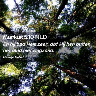 Picture 02 - Markus 5:10 NLD - En hij bad Hem zeer, dat Hij hen buiten het land - Bible Verse Picture