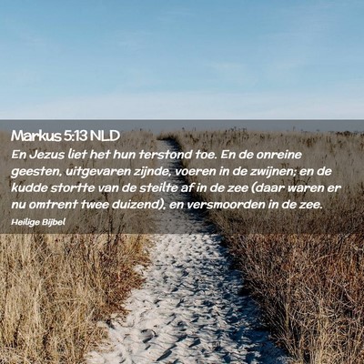 Picture 02 - Markus 5:13 NLD - En Jezus liet het hun terstond toe. En de onreine - Bible Verse Picture