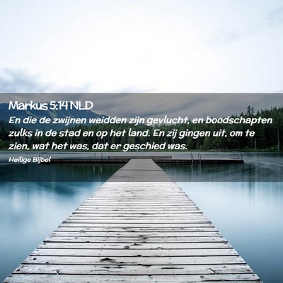 Picture 02 - Markus 5:14 NLD - En die de zwijnen weidden zijn gevlucht, en - Bible Verse Picture