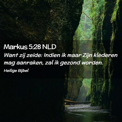 Picture 02 - Markus 5:28 NLD - Want zij zeide: Indien ik maar Zijn klederen mag - Bible Verse Picture