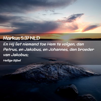 Picture 02 - Markus 5:37 NLD - En Hij liet niemand toe Hem te volgen, dan - Bible Verse Picture