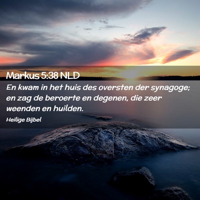 Picture 02 - Markus 5:38 NLD - En kwam in het huis des oversten der synagoge; en - Bible Verse Picture
