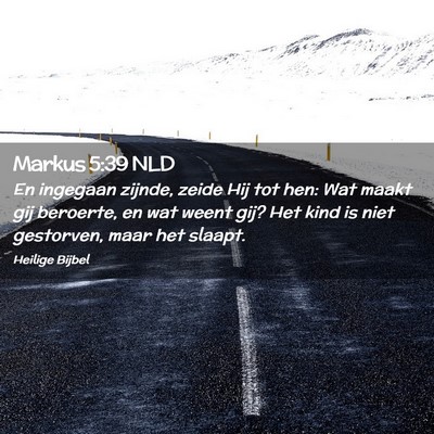 Picture 02 - Markus 5:39 NLD - En ingegaan zijnde, zeide Hij tot hen: Wat maakt - Bible Verse Picture