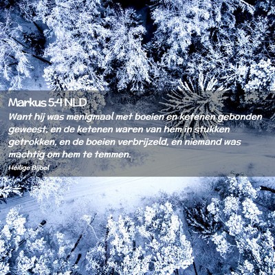 Picture 02 - Markus 5:4 NLD - Want hij was menigmaal met boeien en ketenen - Bible Verse Picture