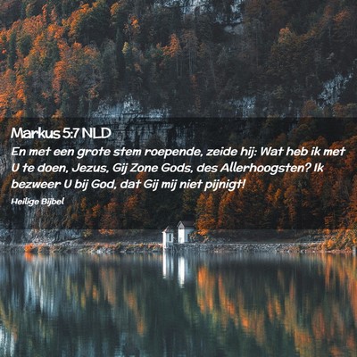 Picture 02 - Markus 5:7 NLD - En met een grote stem roepende, zeide hij: Wat - Bible Verse Picture