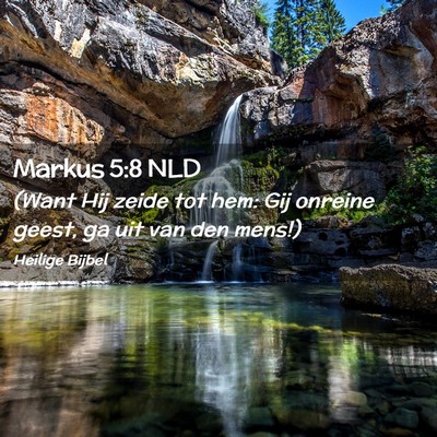 Picture 02 - Markus 5:8 NLD - (Want Hij zeide tot hem: Gij onreine geest, ga - Bible Verse Picture