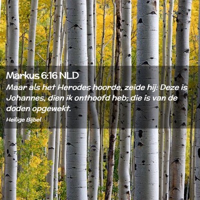 Picture 02 - Markus 6:16 NLD - Maar als het Herodes hoorde, zeide hij: Deze is - Bible Verse Picture