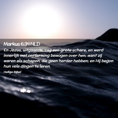Picture 02 - Markus 6:34 NLD - En Jezus, uitgaande, zag een grote schare, en - Bible Verse Picture