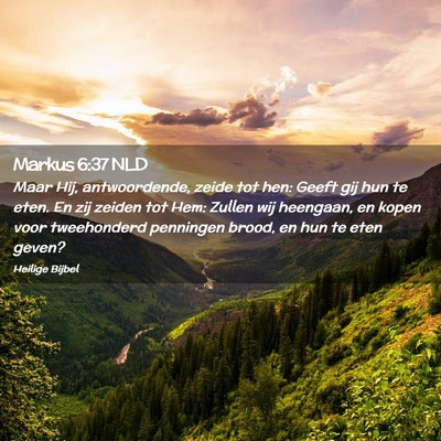 Picture 02 - Markus 6:37 NLD - Maar Hij, antwoordende, zeide tot hen: Geeft gij - Bible Verse Picture