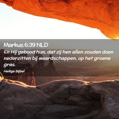 Picture 02 - Markus 6:39 NLD - En Hij gebood hun, dat zij hen allen zouden doen - Bible Verse Picture