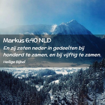 Picture 02 - Markus 6:40 NLD - En zij zaten neder in gedeelten bij honderd te - Bible Verse Picture