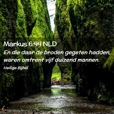 Picture 02 - Markus 6:44 NLD - En die daar de broden gegeten hadden, waren - Bible Verse Picture