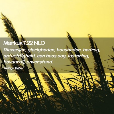 Picture 02 - Markus 7:22 NLD - Dieverijen, gierigheden, boosheden, bedrog, - Bible Verse Picture