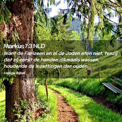 Picture 02 - Markus 7:3 NLD - Want de Farizeen en al de Joden eten niet, tenzij - Bible Verse Picture