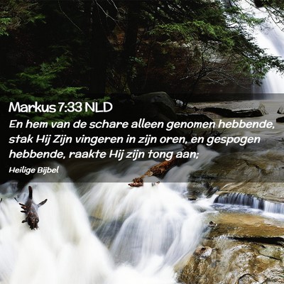 Picture 02 - Markus 7:33 NLD - En hem van de schare alleen genomen hebbende, - Bible Verse Picture