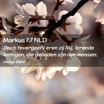 Picture 02 - Markus 7:7 NLD - Doch tevergeefs eren zij Mij, lerende leringen, - Bible Verse Picture