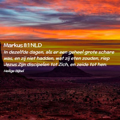 Picture 02 - Markus 8:1 NLD - In dezelfde dagen, als er een geheel grote schare - Bible Verse Picture