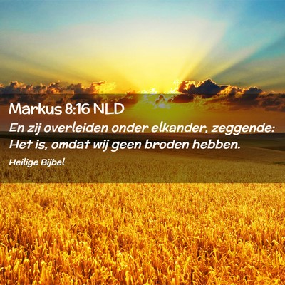 Picture 02 - Markus 8:16 NLD - En zij overleiden onder elkander, zeggende: Het - Bible Verse Picture