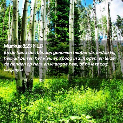 Picture 02 - Markus 8:23 NLD - En de hand des blinden genomen hebbende, leidde - Bible Verse Picture