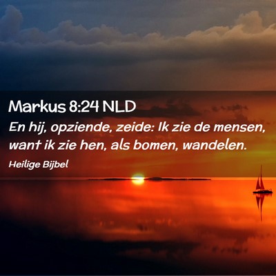 Picture 02 - Markus 8:24 NLD - En hij, opziende, zeide: Ik zie de mensen, want - Bible Verse Picture