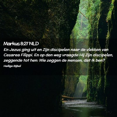 Picture 02 - Markus 8:27 NLD - En Jezus ging uit en Zijn discipelen naar de - Bible Verse Picture