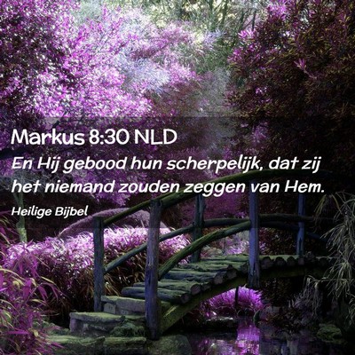 Picture 02 - Markus 8:30 NLD - En Hij gebood hun scherpelijk, dat zij het - Bible Verse Picture