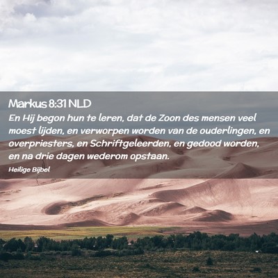 Picture 02 - Markus 8:31 NLD - En Hij begon hun te leren, dat de Zoon des mensen - Bible Verse Picture
